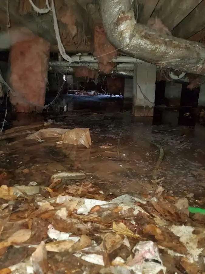Crawl space flood assessment for Commercial Water Damage Restoration in On Top of the World