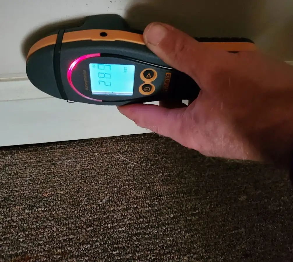 Moisture detection at baseboard during Sewage Cleanup & Sanitation in On Top of the World